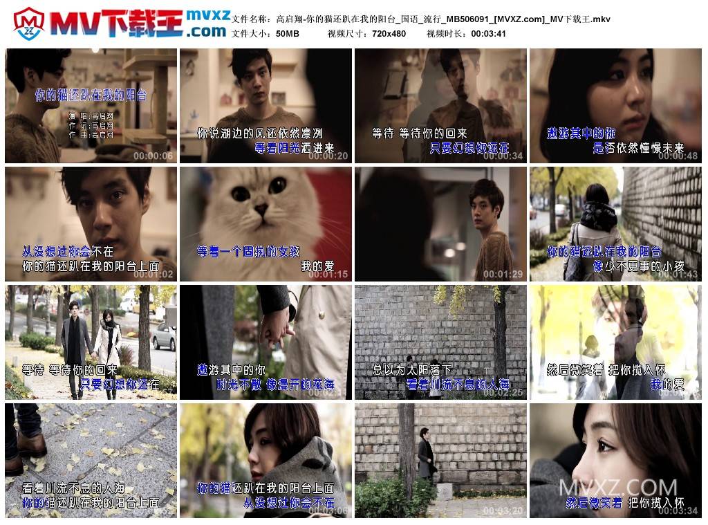 高启翔-你的猫还趴在我的阳台_国语_流行_MB506091